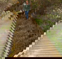 Balcombe Creek Estuary Boardwalk - Darwin Holiday