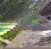Bangadilly National Park - Darwin Holiday