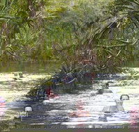 Berry Springs - Darwin Holiday