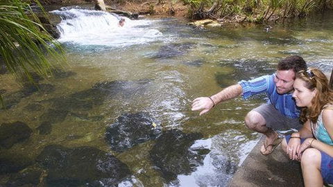 Berry Springs - Darwin Holiday 1