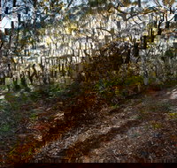 Booderee National Park Munyunga Waraga Dhugan Walking Trail