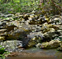 Booyong Walking Track - Darwin Holiday