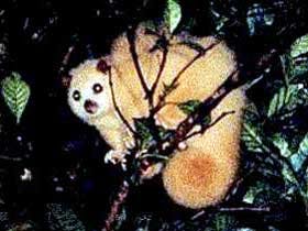 Carrowong Fauna Sanctuary - Darwin Holiday 1