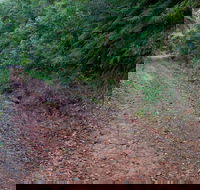 Cascade mountain bike trail - Darwin Holiday