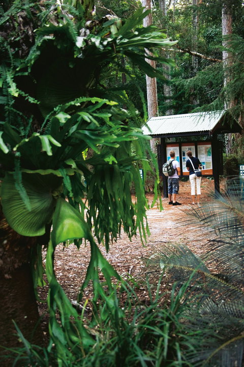 Central Station - Darwin Holiday 1