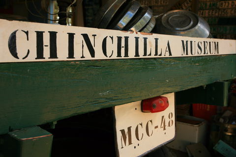Chinchilla Historical Museum - Darwin Holiday 0