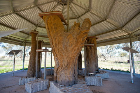 Collymongle Carved Trees - Darwin Holiday 2