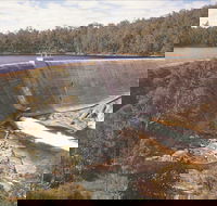 Collie - Darwin Holiday