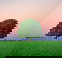 Condamine - Darwin Holiday