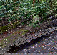 Coombadjha Nature Stroll - Darwin Holiday