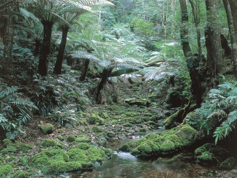 Corn Trail - Darwin Holiday 0
