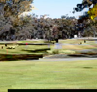 Deniliquin Golf Club - Darwin Holiday