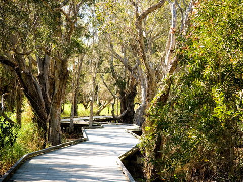 Eagleby Wetlands - Darwin Holiday 1
