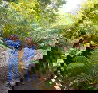 Endeavour Fern Gully Walks - Darwin Holiday
