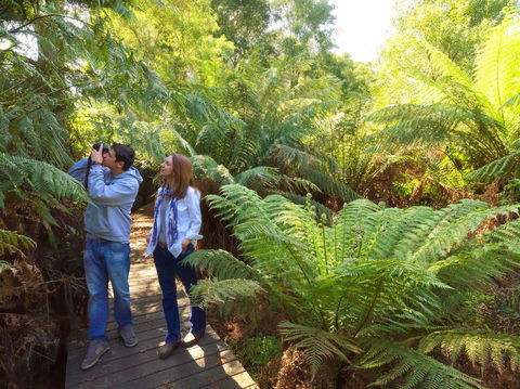 Endeavour Fern Gully Walks - Darwin Holiday 0