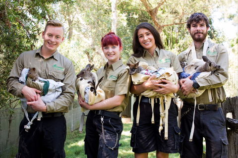 Featherdale Wildlife Park - Darwin Holiday 0