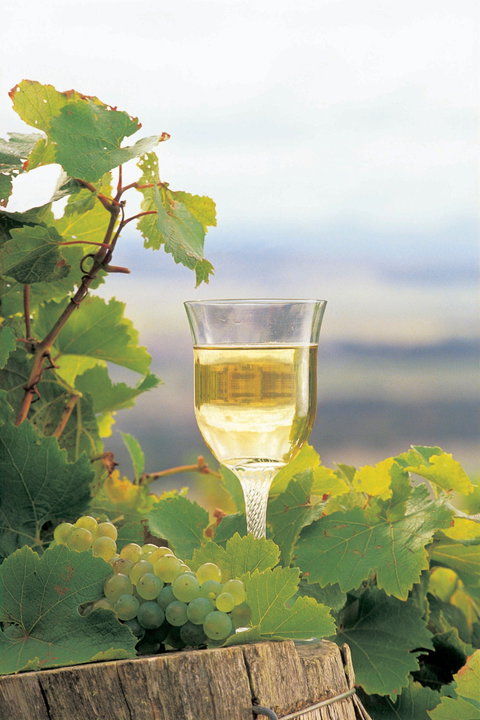 Flavours Of The Porongurup Range Trail - Darwin Holiday 0