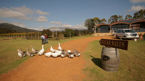 Flavours Of The Porongurup Range Trail - Darwin Holiday 2