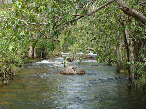 Florence Creek Walk - Darwin Holiday 0