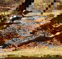 Freycinet Paintball and Campground - Darwin Holiday