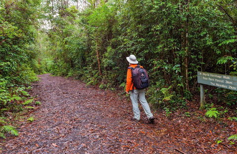 Gibraltar-Washpool World Heritage Walk - Darwin Holiday 0