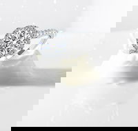 GS Diamonds - Darwin Holiday