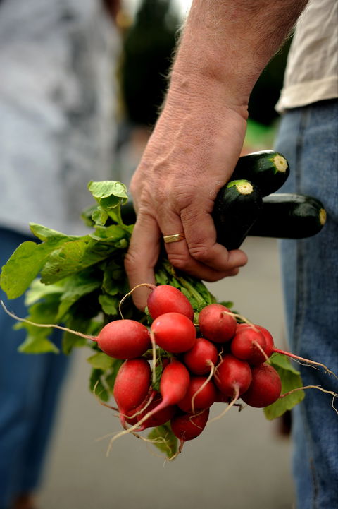 Harvest Launceston Community Farmers' Market - Darwin Holiday 1