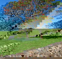 Historic Dry Stone Walls Kiama - Darwin Holiday