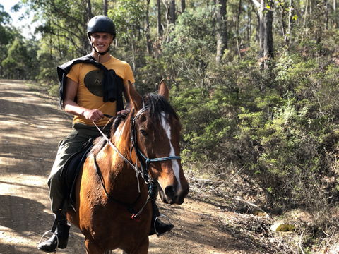 Horse Riding Tasmania - Darwin Holiday 2