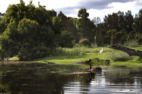 Hunter Wetlands Centre - Darwin Holiday 0