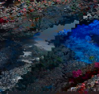 Hutchinson Shoal Dive Site - Darwin Holiday