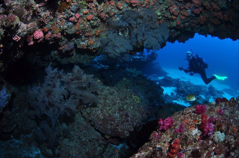 Hutchinson Shoal Dive Site - Darwin Holiday 0