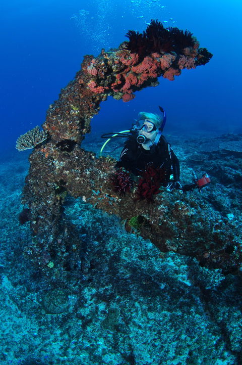 Hutchinson Shoal Dive Site - Darwin Holiday 1