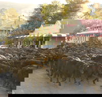 Jugiong - Darwin Holiday