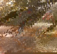 Kholo Gardens Trails - Darwin Holiday