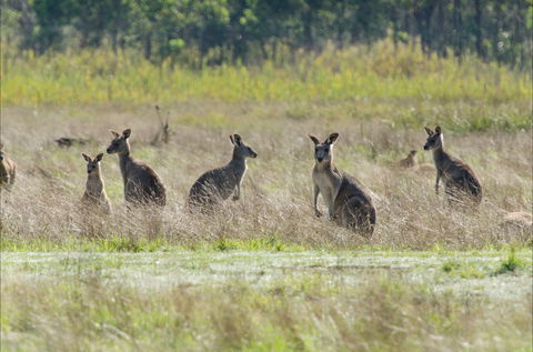 Kosciuszko National Park - Darwin Holiday 2