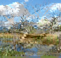 Lagoon Creek - Darwin Holiday