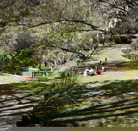 Leura Cascades - Darwin Holiday