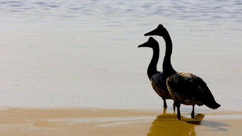 Mamukala Wetlands And Bird Hide - Darwin Holiday 1