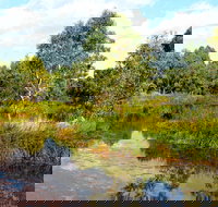 Mansfield Mullum Wetlands - Darwin Holiday