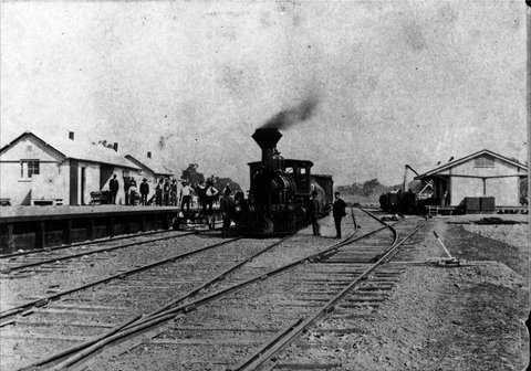 Mansfield Historical Society - Darwin Holiday 1