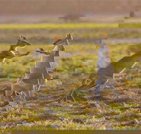 Mary River Area - Darwin Holiday