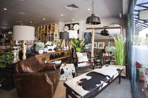 Mary And Tex Curious Emporium - Darwin Holiday 0