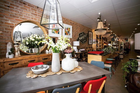 Mary And Tex Curious Emporium - Darwin Holiday 1