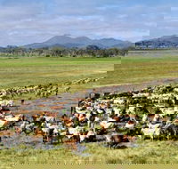 Marlborough - Darwin Holiday