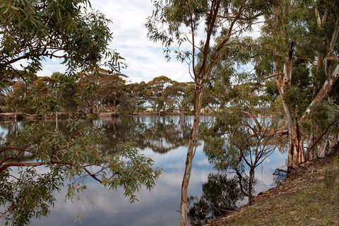 Merredin Railway Dam - Darwin Holiday 0