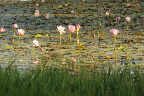 Miles - Darwin Holiday 2