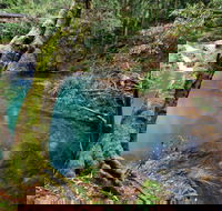 Mobong walking track - Darwin Holiday