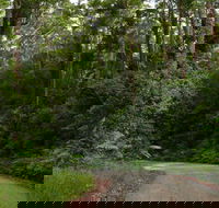 Moonpar Forest drive - Cascade National Park - Darwin Holiday