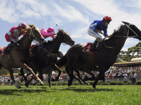 Moruya Racecourse - Darwin Holiday 0